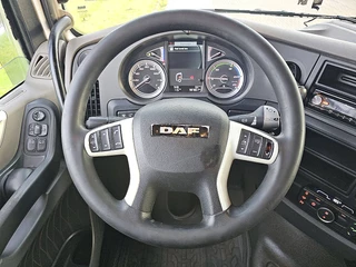 DAF N/A 2018 - XF 450 obrazek 10