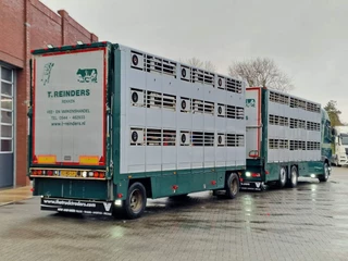 DAF XF 440 2015 - SuperSpaceCab 6x2*4 - Cuppers 1-2-3 deck Livestock + Cuppers 3 deck trailer 2009 obrazek 12