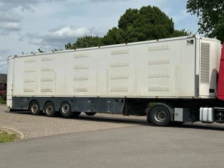 Berdex NO BERDEX HMK 4 stock livestock trailer SPF 2014 - N/A obrazek 2