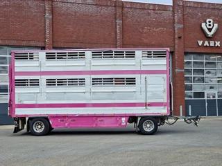 Pezzaioli N/A 2005 - 2 deck livestock - Lifting floor - Lifting roof - Ventilation - BPW Axle zdjecie 38