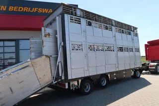 Pezzaioli N/A 2002 - RBA 31 - Cattle transport obrazek 2