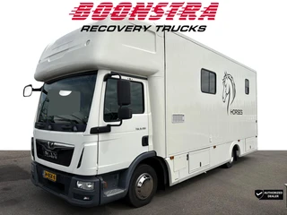 MAN TGL 2019 - 8.190 Horse truck 2 Horses + Living Camera 61.047 KM! na prodej