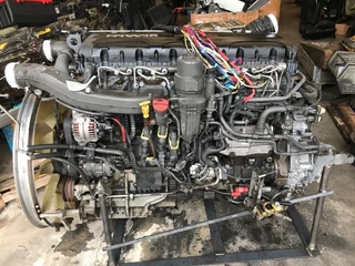 DAF N/A 2014 - MX-11 291 H1 bild 2