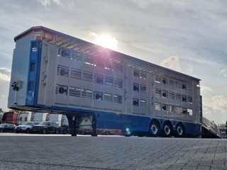 Pezzaioli N/A 2026 - New 3 stock livestock trailer 95.4M2 - Water & Ventilation - Lifting floors - Lifting roof - Lift axle immagine 48