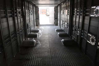 Pezzaioli N/A 2016 - SBA 31 - Cattle Transporter 93.13m2 obrazek 21