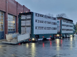 DAF XF 440 2015 - SuperSpaceCab 6x2*4 - Cuppers 1-2-3 deck Livestock + Cuppers 3 deck trailer 2009 obrazek 13