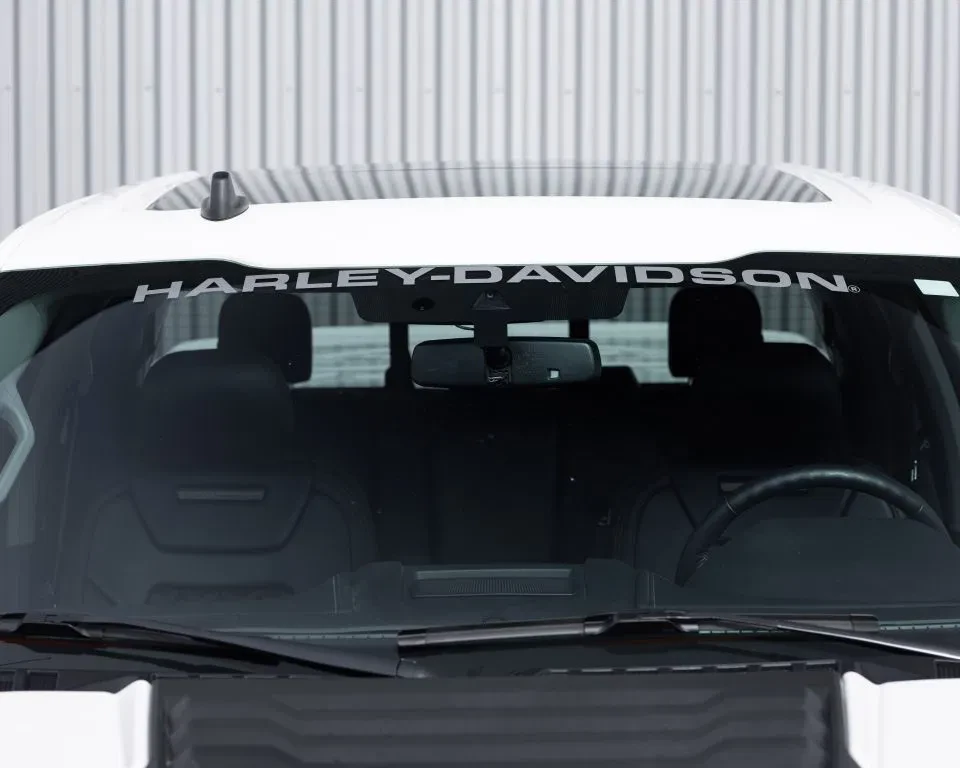 Ford F-150 2019 - (USA) Harley Davidson V8 5.0L Tuscany Motor Co. afbeelding 26