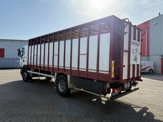 Scania G 2014 - G280 / ENGINE RUNNING / RETARDER / ONLY:215411 KM / LIVESTOCK / AUTOMATIC / EURO-6 / 2014 obrazek 3