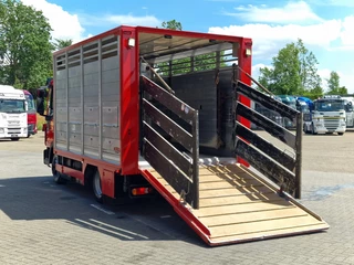 Iveco Eurocargo 2018 - 75.190 - Finkl Livestock 1 deck - 9.07 M 2 - Air suspension - Euro 6 obrazek 6