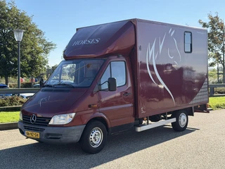 Mercedes-Benz Sprinter 2001 - 308CDI Paardenwagen/Veewagen/Horsetruck Automaat afbeelding 3 miniatuur