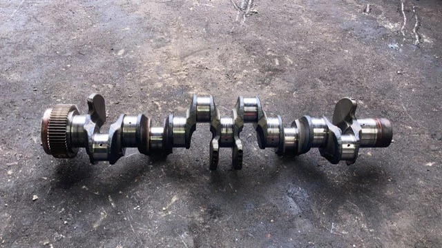 DAF 2018 - 1977104 KRUKAS MET GEBREKEN MX-11 Bild 1