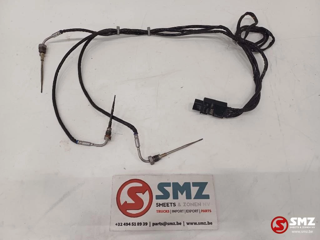 Caterpillar 2022 - Sensor Temperaure Caterpillar afbeelding 1