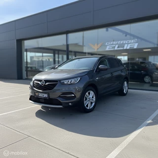 Opel Grandland X 2021 - 1.2 Turbo Business Elegance| Navi | PDC obrazek 4