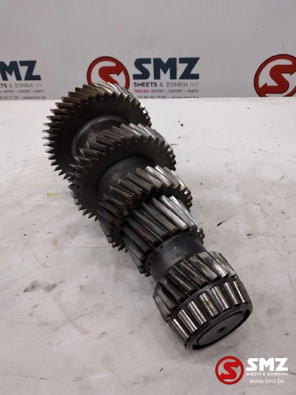 ZF - Occ primaire as ZF immagine 1
