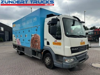 DAF 2008 - FA-LF45 180 afbeelding 3 miniatuur