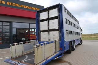 DAF XF 105 2012 - XF 105-460 - 2012 - 2-3 floors, Pigs transport image 2