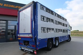 DAF XF 105 2012 - XF 105-460 - 2012 - 2-3 floors, Pigs transport image 5