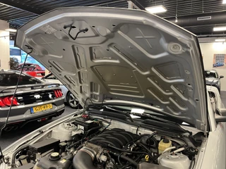 Ford Mustang 2006 - Convertible 4.6i V8 GT 335PK Roush Limited Nr. 05-2218 zdjecie 95