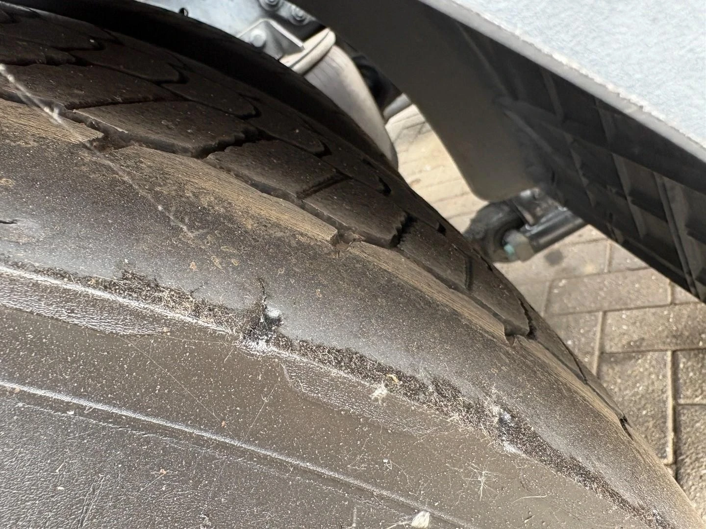 MAN TGX 2021 afbeelding 22
