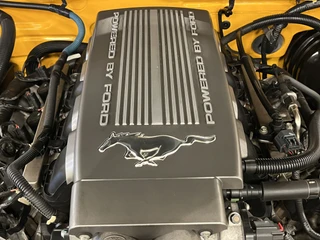 Ford Mustang 2009 - Coupe 4.6i V8 GT Premium 45th Anniversary Edition obrazek 104
