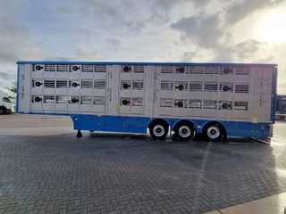Pezzaioli N/A 2026 - New 3 stock livestock trailer 95.4M2 - Water & Ventilation - Lifting floors - Lifting roof - Lift axle immagine 5