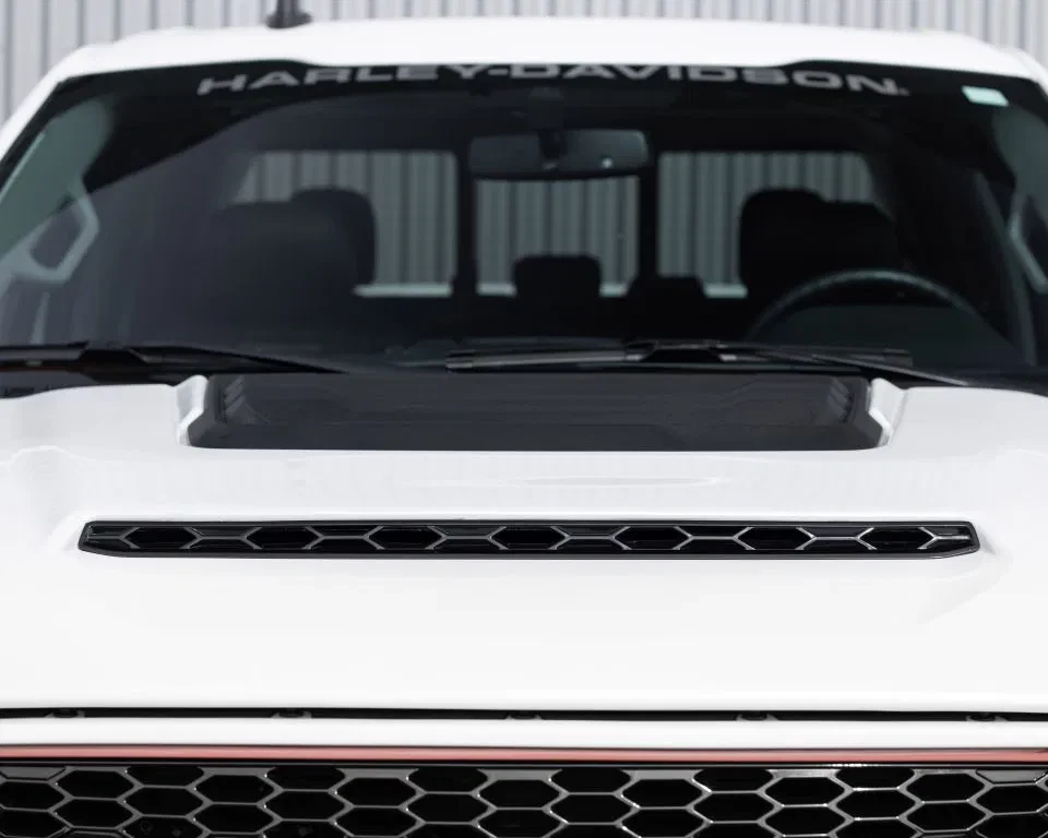 Ford F-150 2019 - (USA) Harley Davidson V8 5.0L Tuscany Motor Co. afbeelding 27