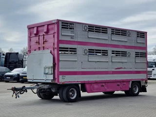Pezzaioli N/A 2005 - 2 deck livestock - Lifting floor - Lifting roof - Ventilation - BPW Axle zdjecie 36