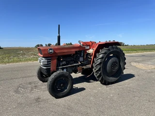 Massey Ferguson 165 te koop
