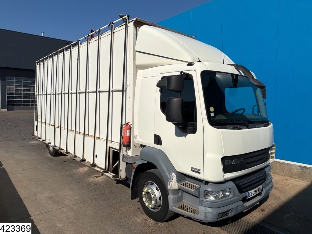 DAF 2013 - LF 250 EURO 5, Anteo image 4