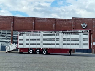 Pezzaioli N/A 2025 - New - 3 deck livestock 100M2 - Water & Ventilation - Lifting floors - Lifting roof - NEW 2025 obrazek 8