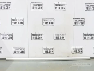 DAF N/A - 1400008 Sierlijst grill DAF XF95 afbeelding 1