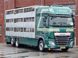 DAF XF 440 2015 - SuperSpaceCab 6x2*4 - Cuppers 1-2-3 deck Livestock изображение 12