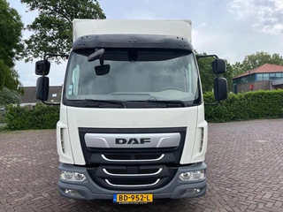 DAF LF 230 2024 - FA obrazek 2