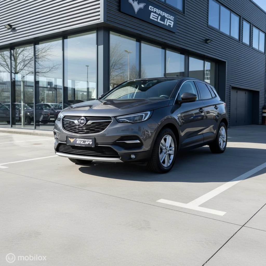Opel Grandland X 2021 - 1.2 Turbo Business Elegance| Navi | PDC Bild 7