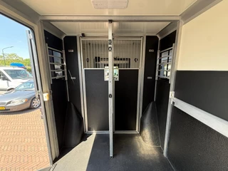 Renault Master 2021 - STX S3 Paardenwagen Hengsten uitvoering Automaat! image 7