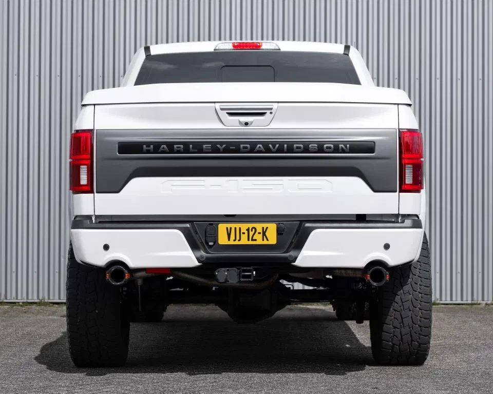 Ford F-150 2019 - (USA) Harley Davidson V8 5.0L Tuscany Motor Co. afbeelding 16