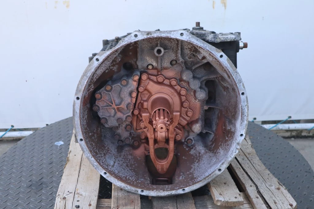 ZF 2007 - 16S2520OD 81.32004-6009 immagine 2