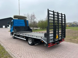 DAF LF 2008 - 45.160  Oprijwagen obrazek 6