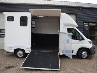Peugeot Boxer 2015 - 335 2.2 HDI 131pk Paardenwagen - Cruise - Trekhaak - Airco obrazek 4