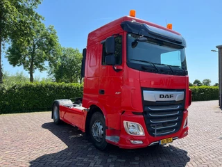 DAF XF 450 2020 - FT immagine 3
