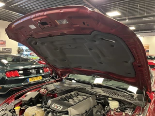 Ford Mustang 2014 - Fastback 5.0i V8 50 Years Edition 441PK Automaat image 102