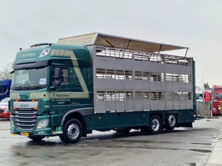 DAF XF 440 2015 - SuperSpaceCab 6x2*4 - Cuppers 1-2-3 deck Livestock изображение 3