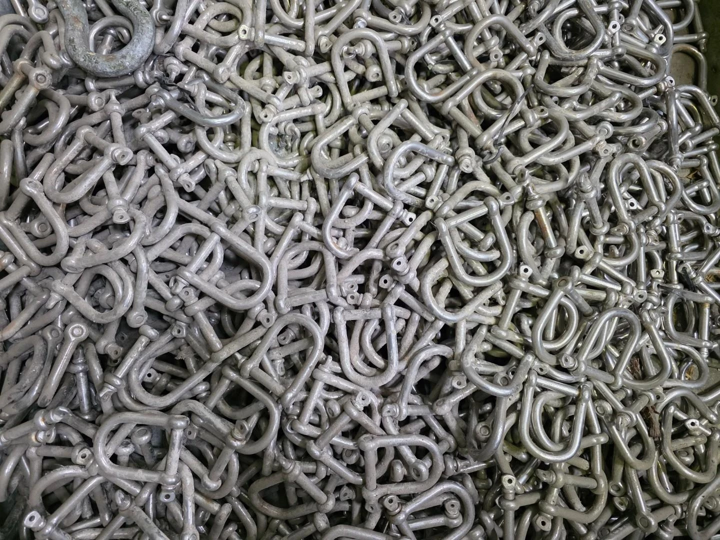 D-shackles Shackles immagine 1