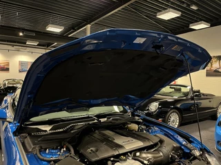 Ford Mustang 2020 - Fastback 5.0i V8 GT Premium 460PK Automaat image 49