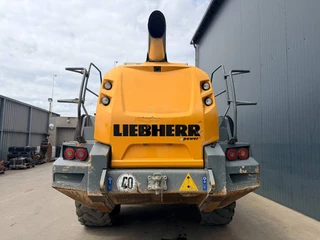 Liebherr N/A 2016 - L550 Xpower immagine 22