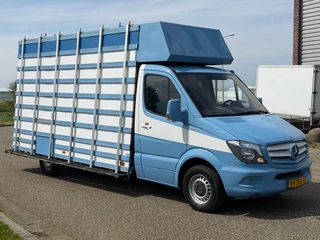 Mercedes-Benz Sprinter 2014 - 313CDI Glasresteelwagen 180,000KM 3 Zits 4,32 Wielbasis image 3