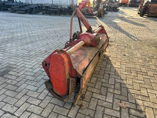 - Frees Rood afbeelding 3 miniatuur