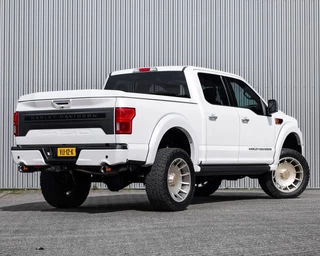 Ford F-150 2019 - (USA) Harley Davidson V8 5.0L Tuscany Motor Co. imagem 5