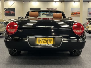 Ford Thunderbird 2003 - USA Convertible 4.0i V8 Premium Automaat obrazek 42