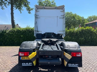 DAF XF480 2023 - FT immagine 6